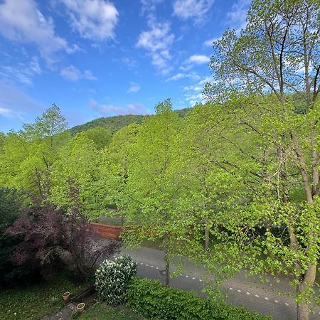 Apartment Villa Elisa Bad Kreuznach Luaran gambar
