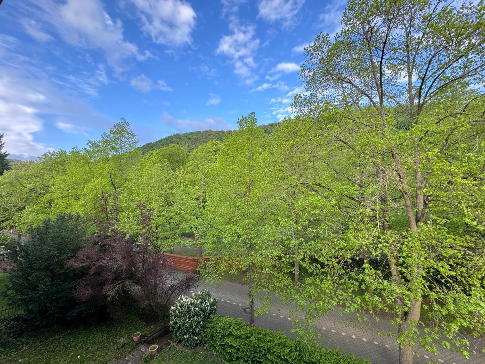 Apartment Villa Elisa Bad Kreuznach Luaran gambar