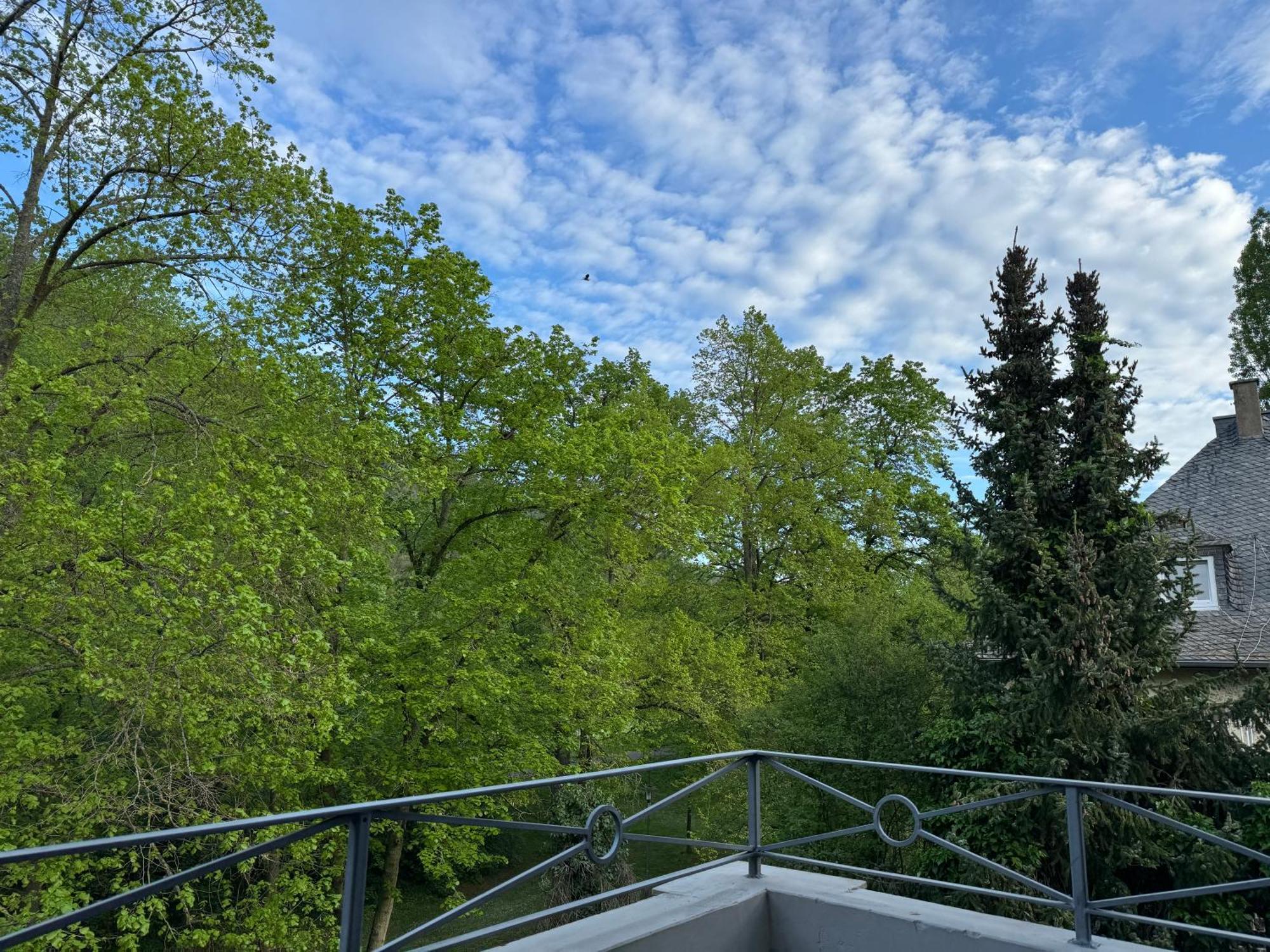 Apartment Villa Elisa Bad Kreuznach Luaran gambar